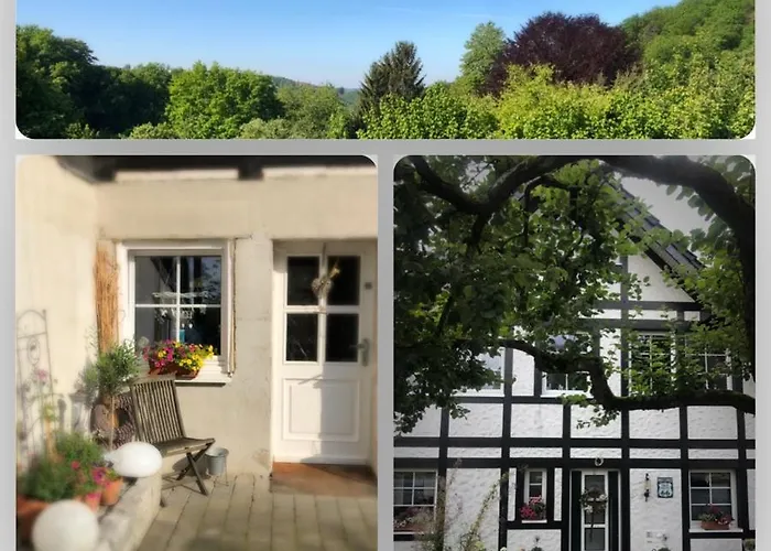 Lägenhet Feriendomizil Burg *