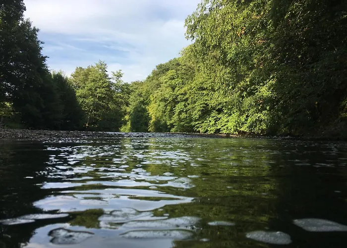 Feriendomizil Burg 公寓 *